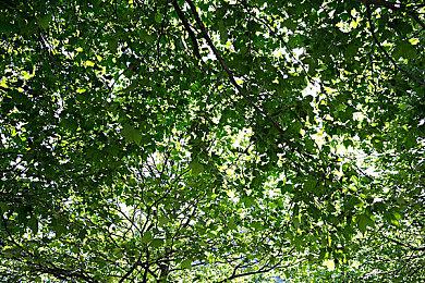 《黑神话：悟空》登顶Steam国区周销榜 国区定价契合玩家的预期