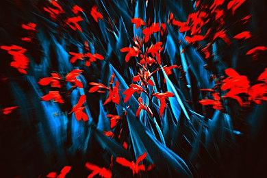 引擎轰鸣 《越野车机械师模拟器》将于7月25日正式发售